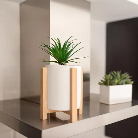 Apartment H+k *